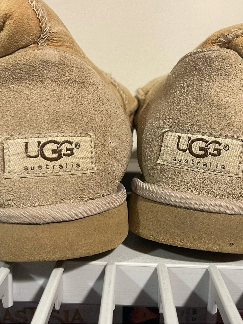 Classic UGG SAND Suede Winter Boots